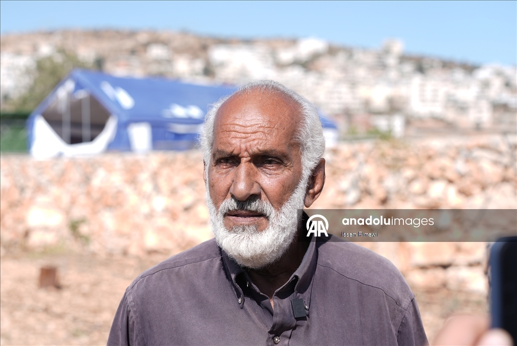 برقا الفلسطينية.. جني الزيتون تحت اعتداءات المستوطنين