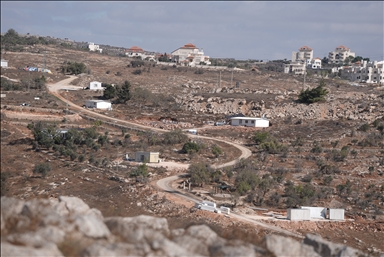 برقا الفلسطينية.. جني الزيتون تحت اعتداءات المستوطنين