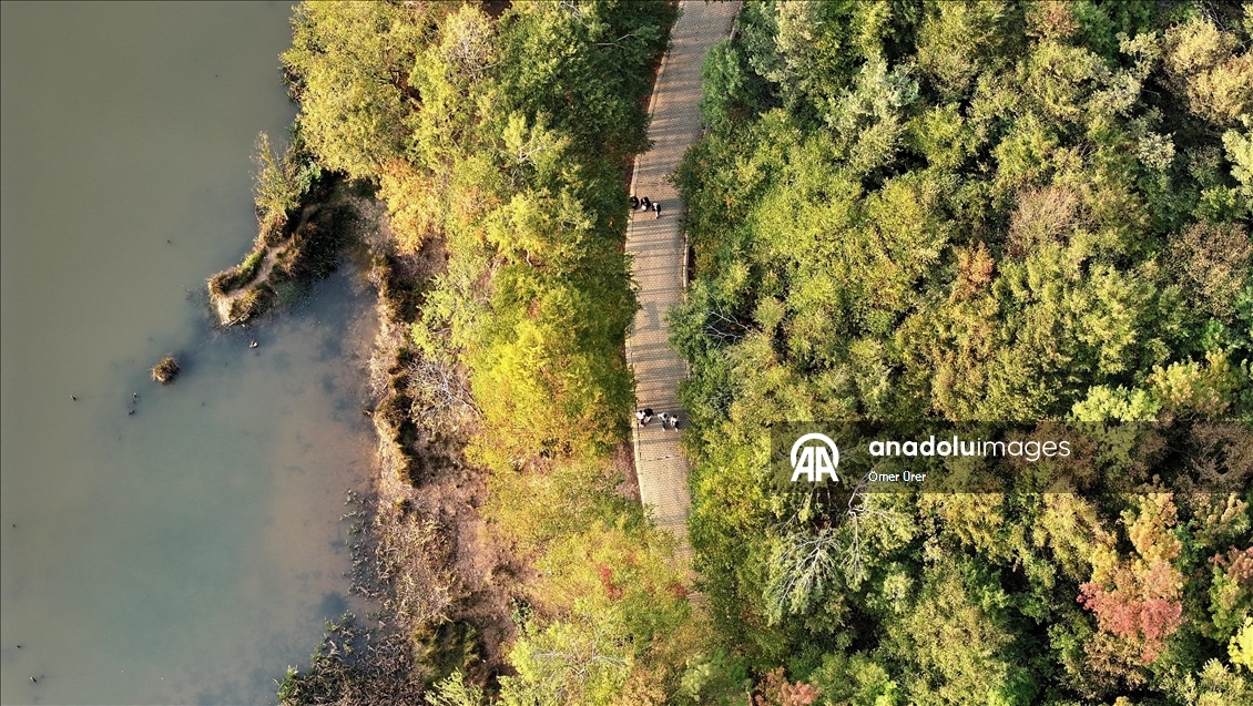 Düzce'deki Korugöl Tabiat Parkı ziyaretçilerini sonbahar manzarasıyla ağırlıyor