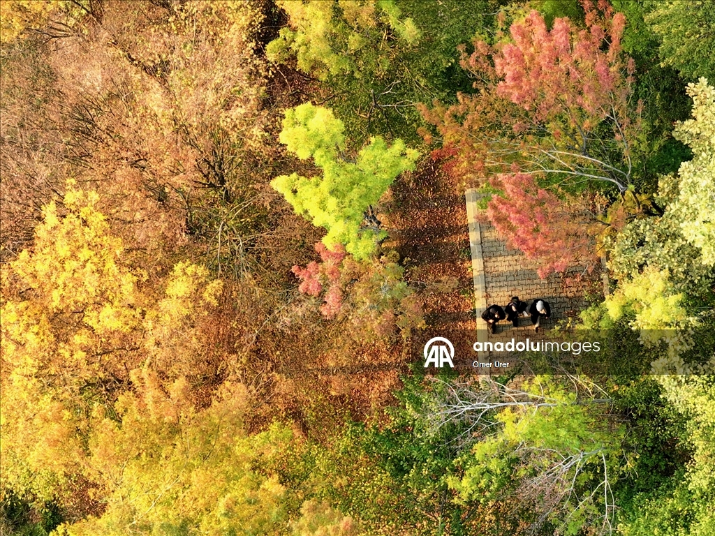 Düzce'deki Korugöl Tabiat Parkı ziyaretçilerini sonbahar manzarasıyla ağırlıyor