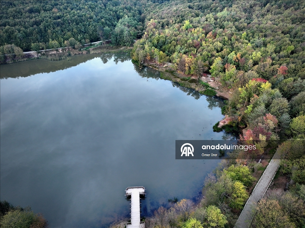 Düzce'deki Korugöl Tabiat Parkı ziyaretçilerini sonbahar manzarasıyla ağırlıyor