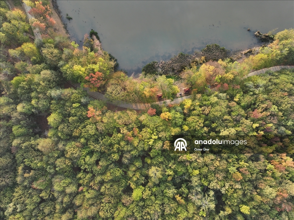 Düzce'deki Korugöl Tabiat Parkı ziyaretçilerini sonbahar manzarasıyla ağırlıyor