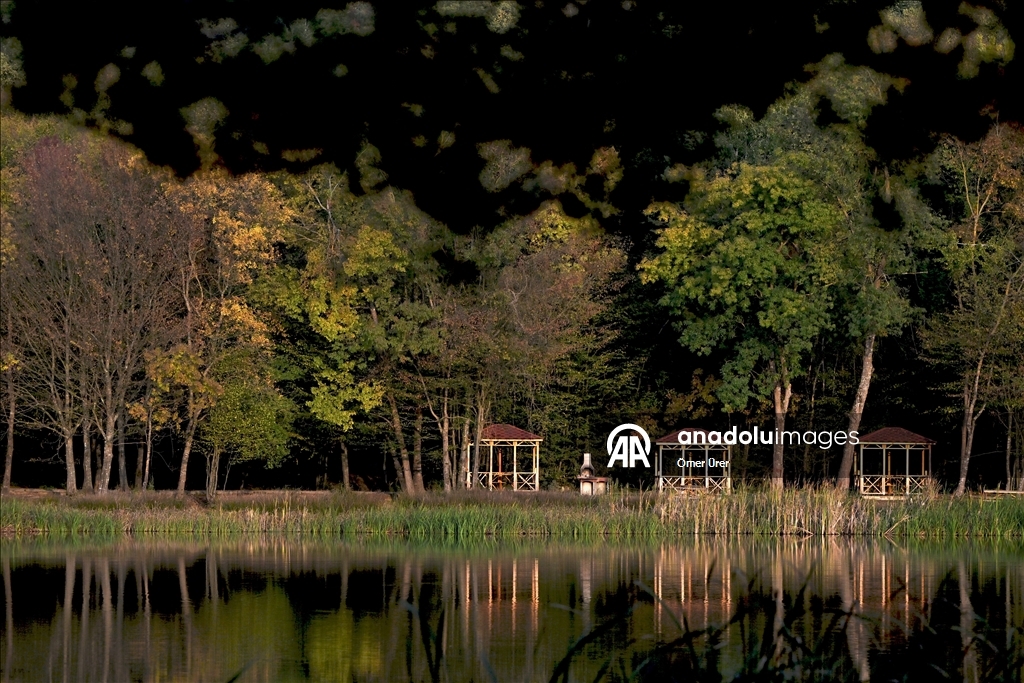 Düzce'deki Korugöl Tabiat Parkı ziyaretçilerini sonbahar manzarasıyla ağırlıyor