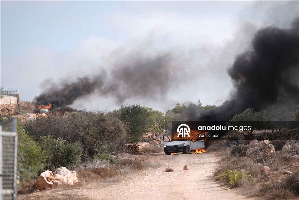 الضفة.. مستوطنون إسرائيليون يحرقون مركبات فلسطينية في ترمسعيا