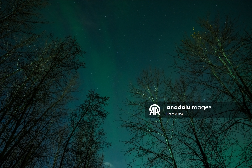 Alaska'nın Anchorage şehrinde kuzey ışıkları görüldü
