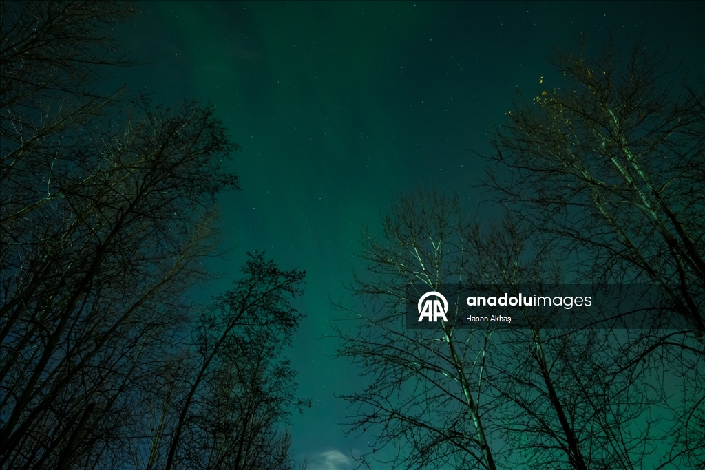 Alaska'nın Anchorage şehrinde kuzey ışıkları görüldü
