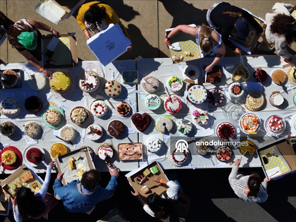 2068 cakes counted at the Cake Picnic in San Francisco