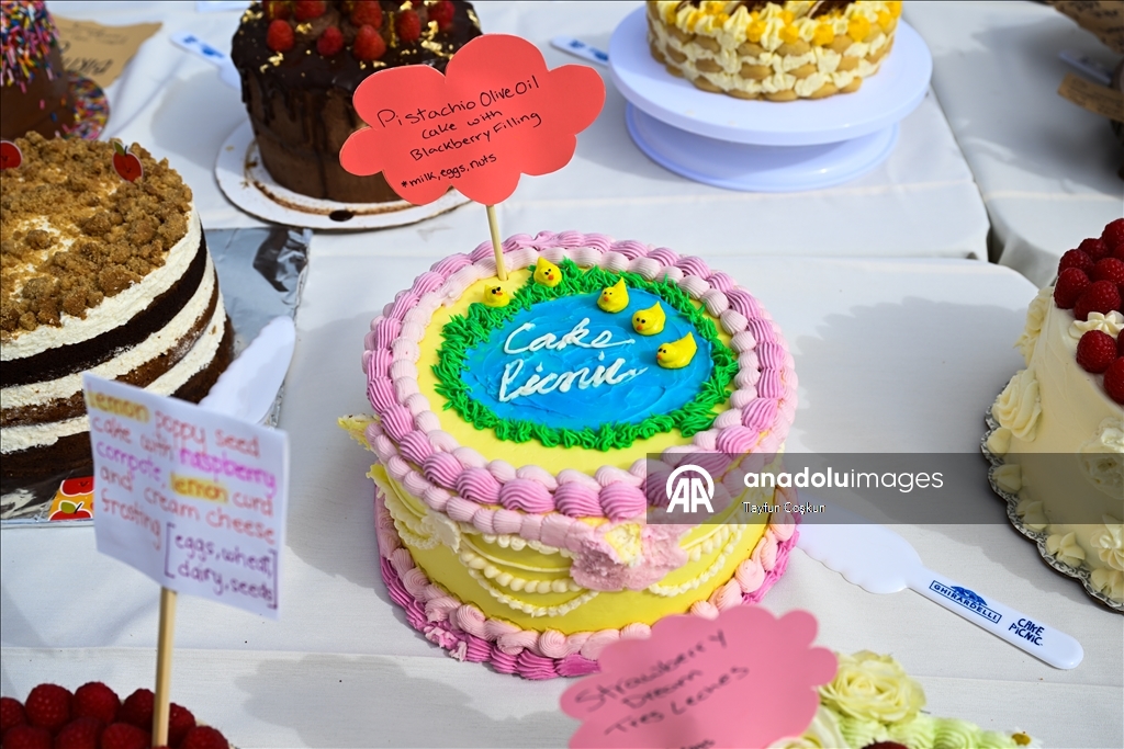 2068 cakes counted at the Cake Picnic in San Francisco