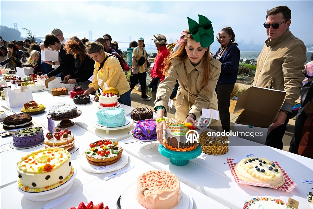2068 cakes counted at the Cake Picnic in San Francisco