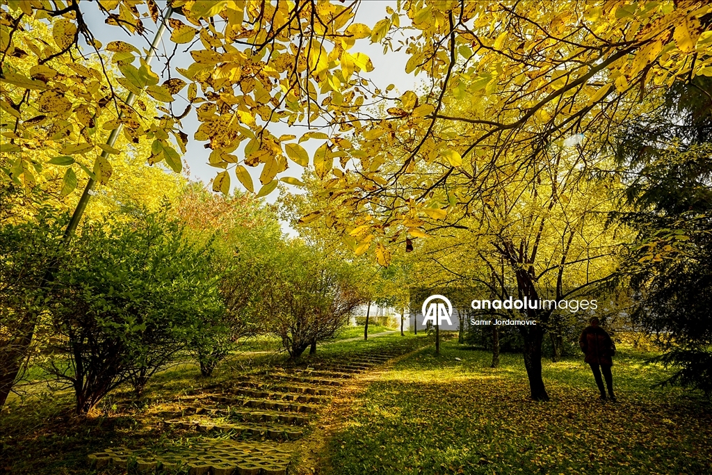 Fall season in Sarajevo