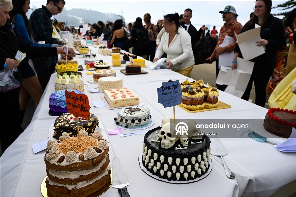 2068 cakes counted at the Cake Picnic in San Francisco