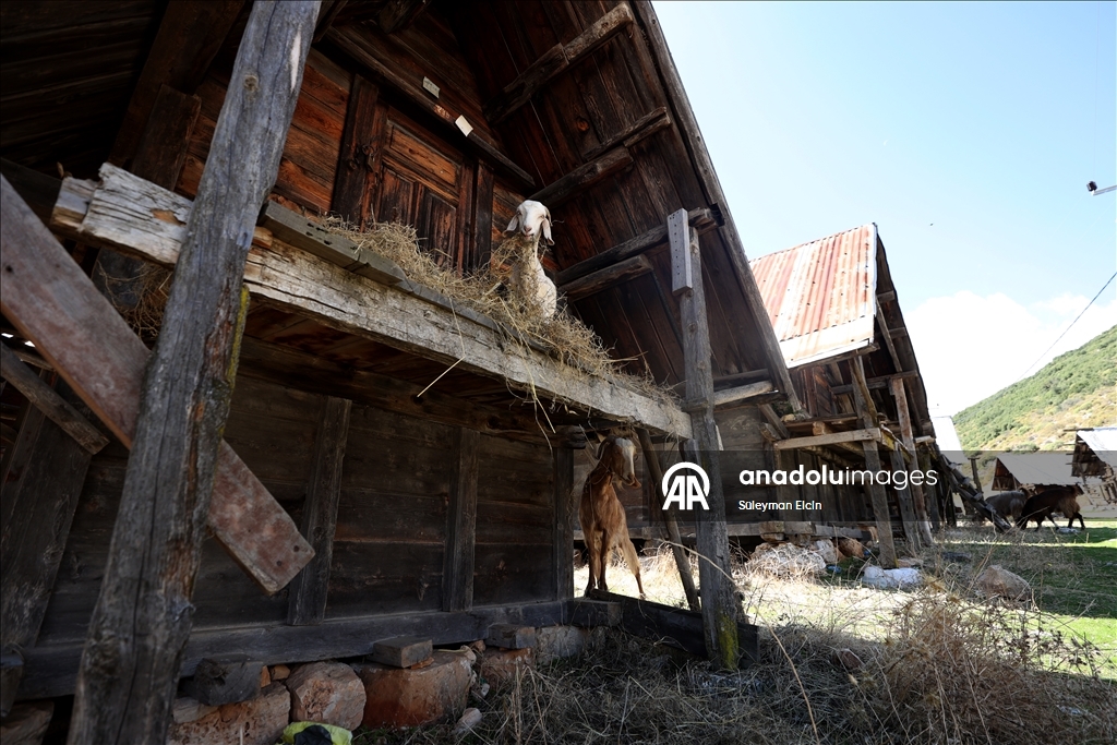 Grain warehouses inspired by Lycian tombs stand out in Antalya’s Kas district