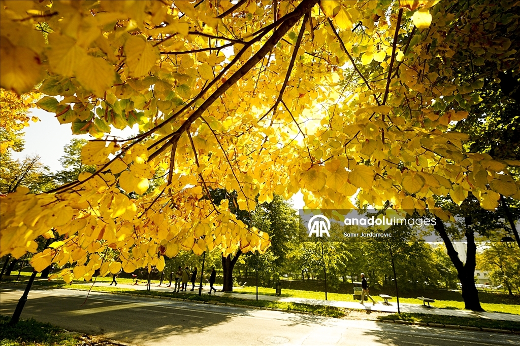 Fall season in Sarajevo