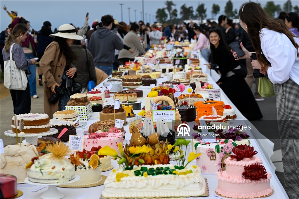 2068 cakes counted at the Cake Picnic in San Francisco