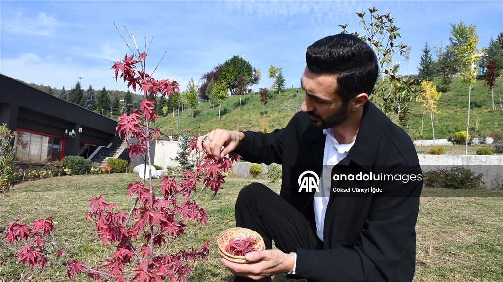 Botanik bahçesindeki bitkileri, el yapımı kağıtlar kullandığı tablolarla geleceğe taşıyor