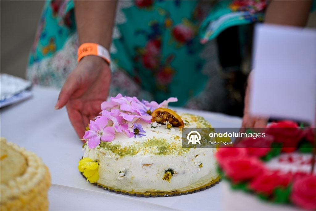 2068 cakes counted at the Cake Picnic in San Francisco