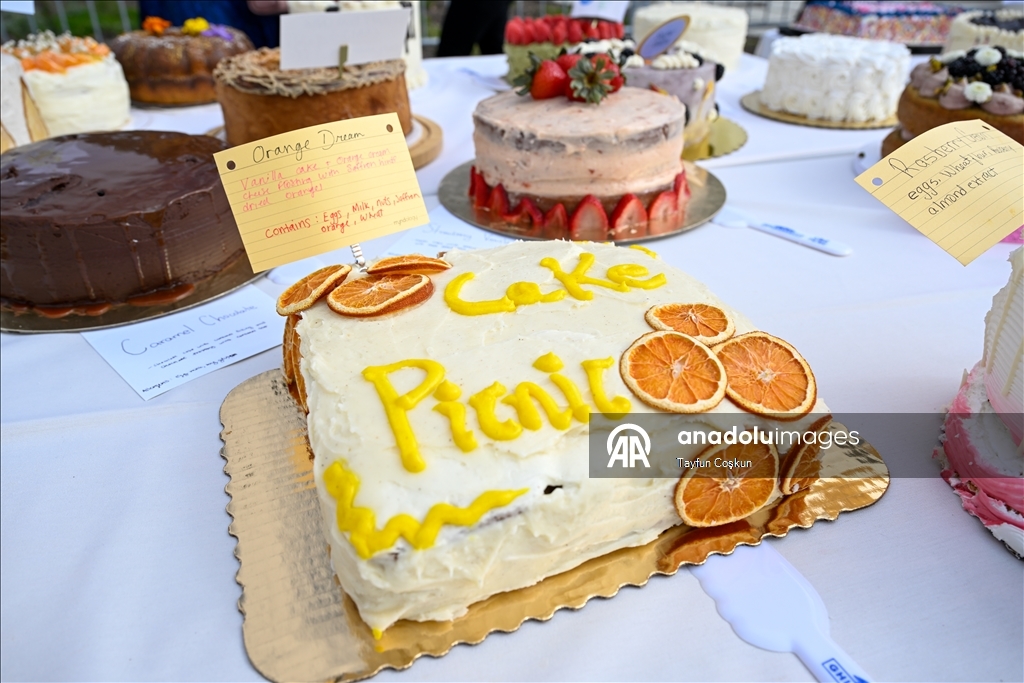 2068 cakes counted at the Cake Picnic in San Francisco