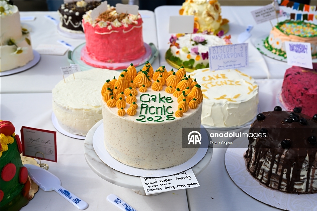 2068 cakes counted at the Cake Picnic in San Francisco