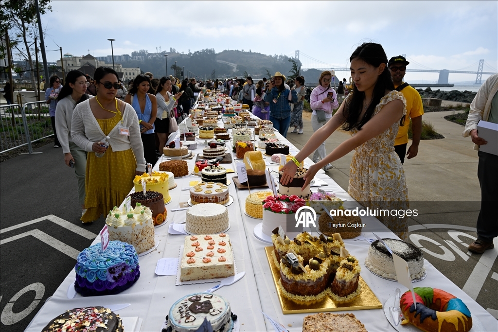 2068 cakes counted at the Cake Picnic in San Francisco