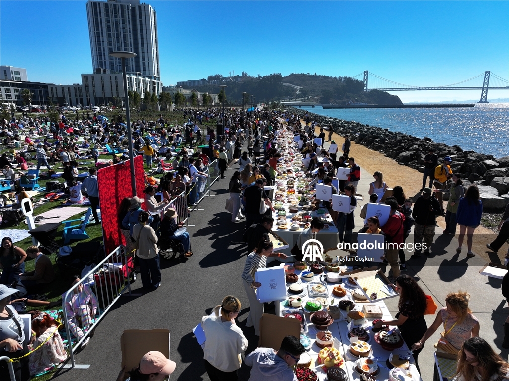 2068 cakes counted at the Cake Picnic in San Francisco