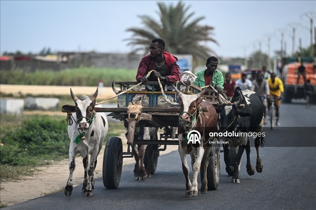 Daily life in Toliara, Madagascar