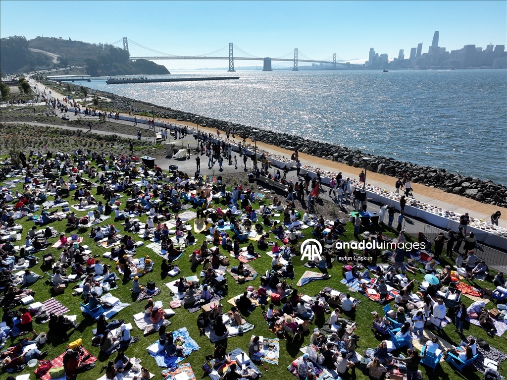 2068 cakes counted at the Cake Picnic in San Francisco