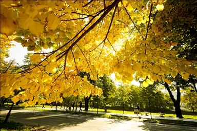 🍂 Fall season in Sarajevo