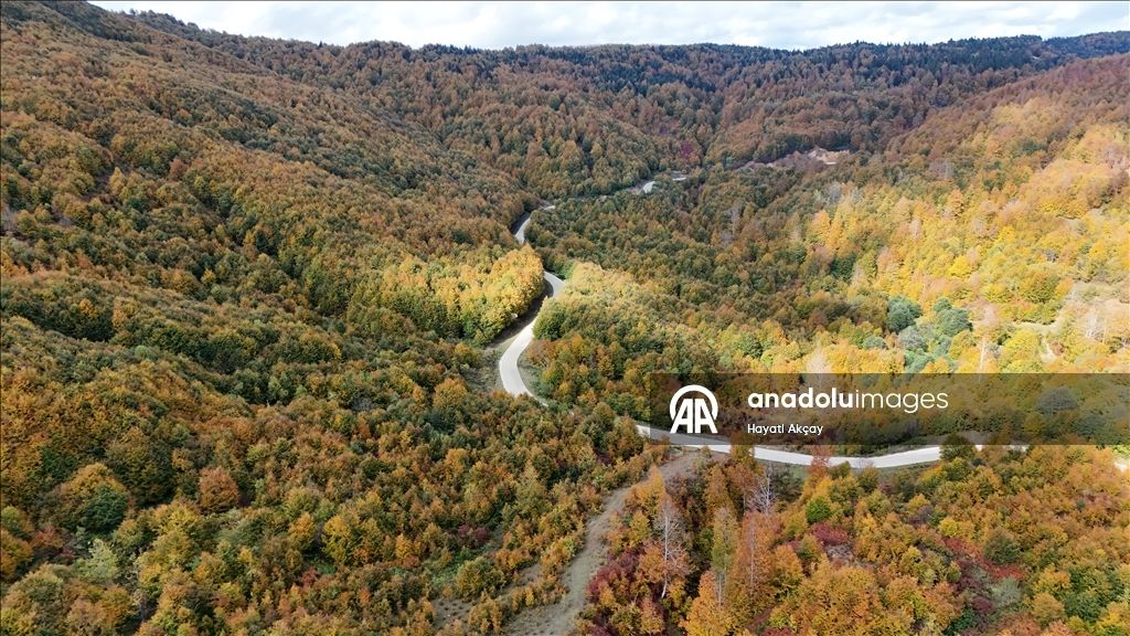 Ordu'da sonbaharın renkleri havadan görüntülendi