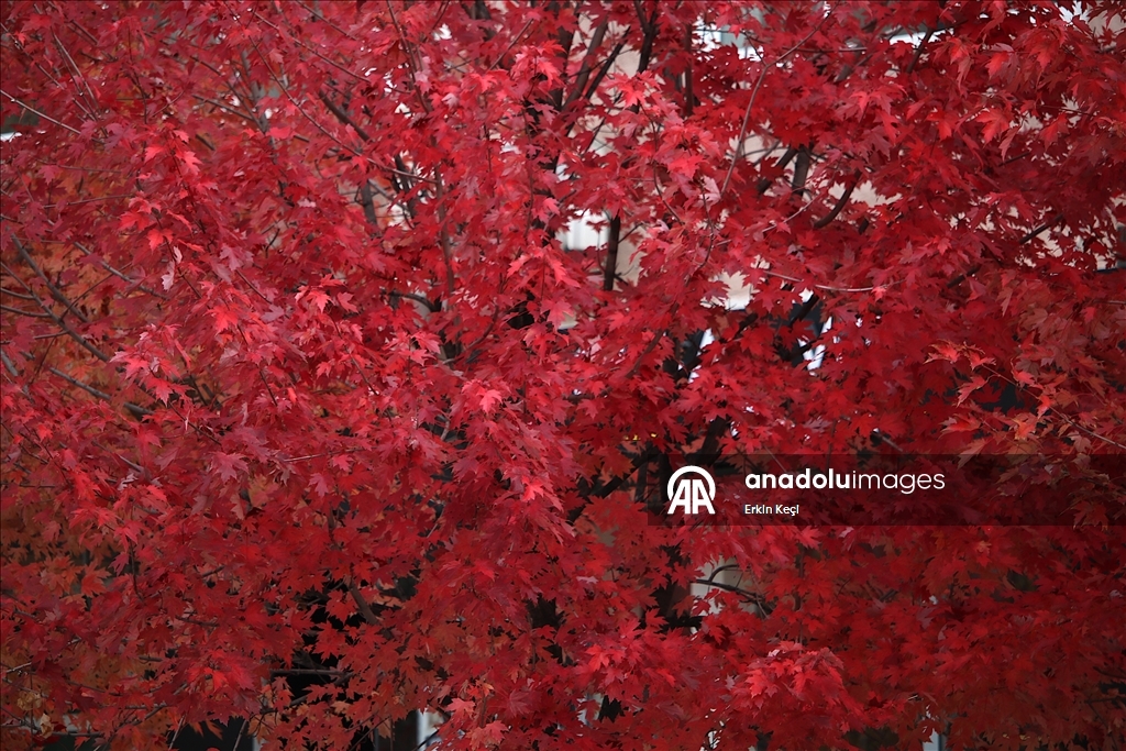 Kosova’da sonbahar