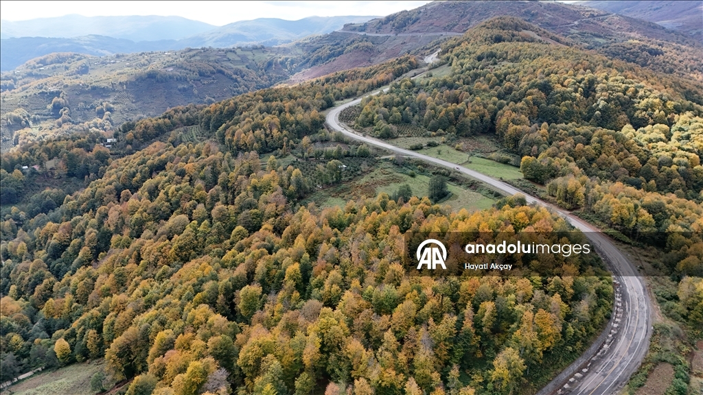 Ordu'da sonbaharın renkleri havadan görüntülendi
