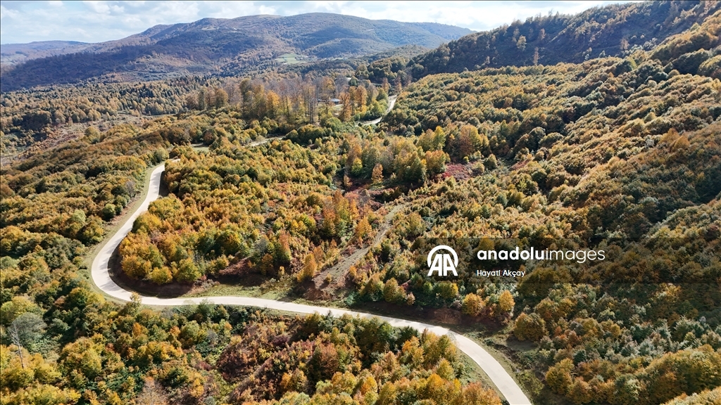 Ordu'da sonbaharın renkleri havadan görüntülendi