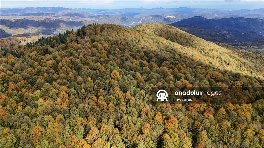 Ordu'da sonbaharın renkleri havadan görüntülendi