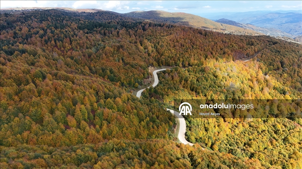 Ordu'da sonbaharın renkleri havadan görüntülendi