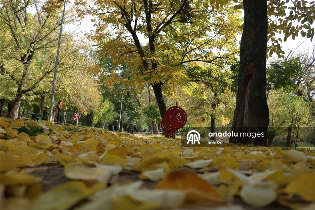 Kosova’da sonbahar