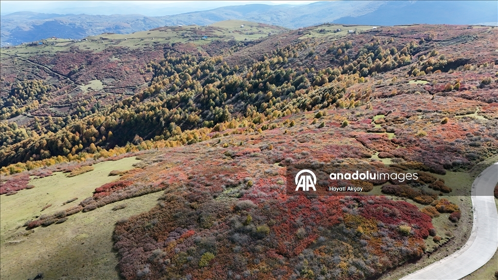 Ordu'da sonbaharın renkleri havadan görüntülendi