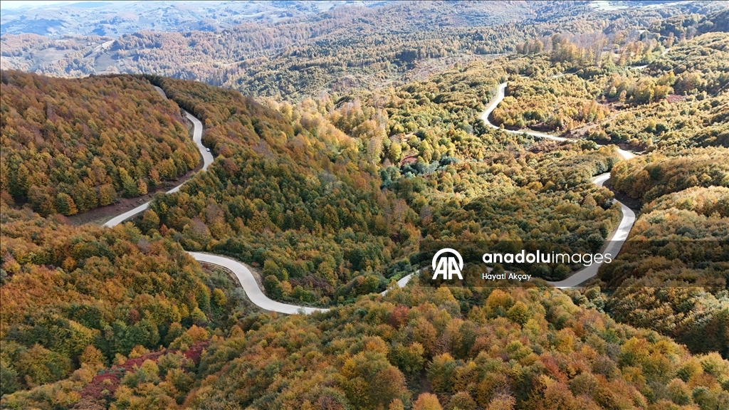 Ordu'da sonbaharın renkleri havadan görüntülendi