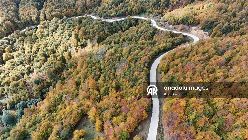 Ordu'da sonbaharın renkleri havadan görüntülendi