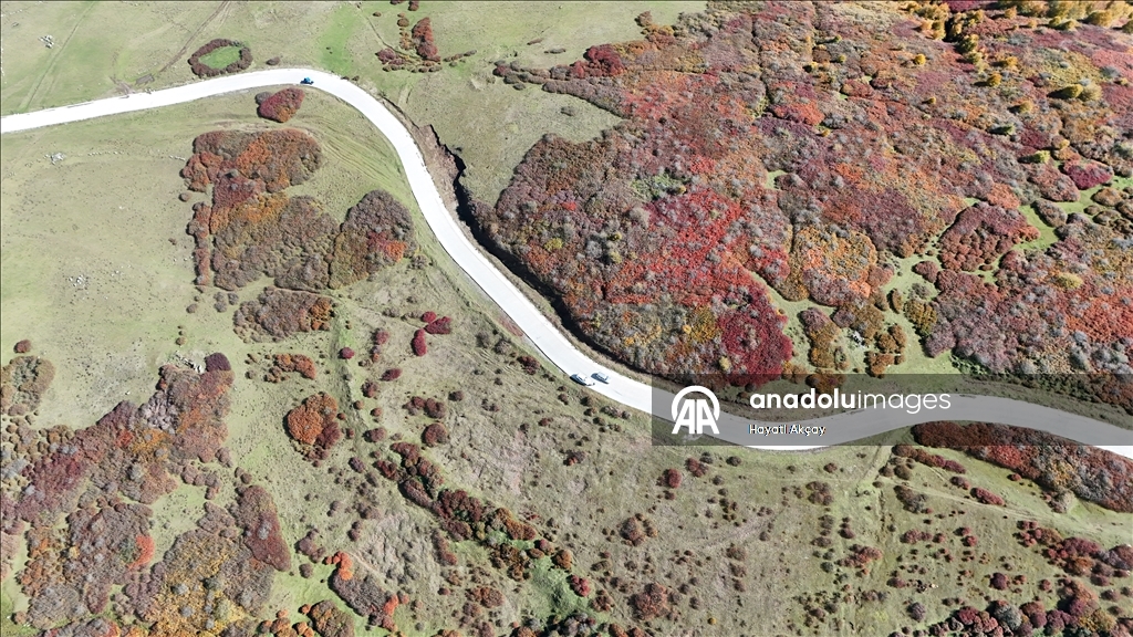 Ordu'da sonbaharın renkleri havadan görüntülendi