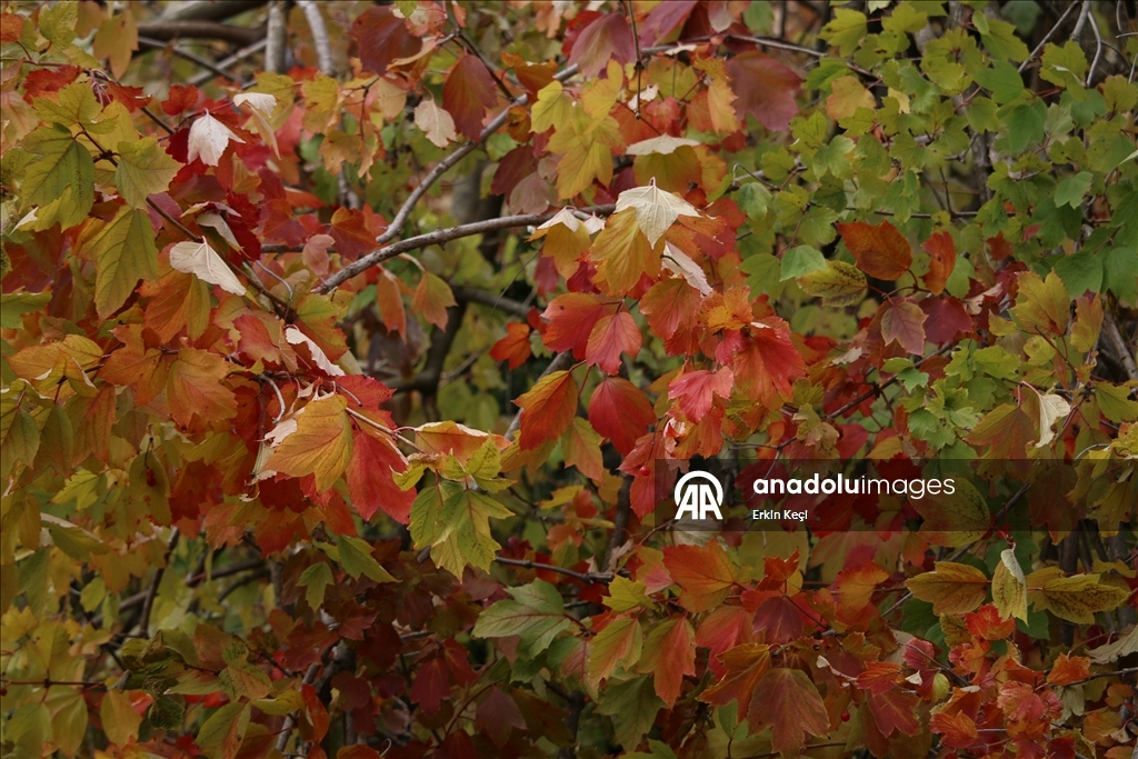 Kosova’da sonbahar