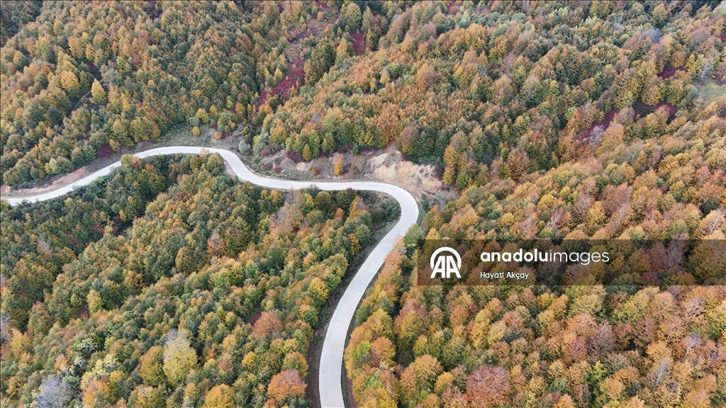Ordu'da sonbaharın renkleri havadan görüntülendi