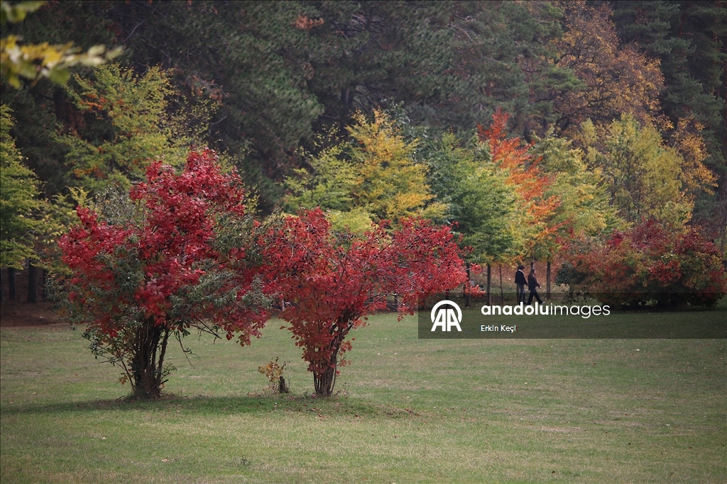 Kosova’da sonbahar