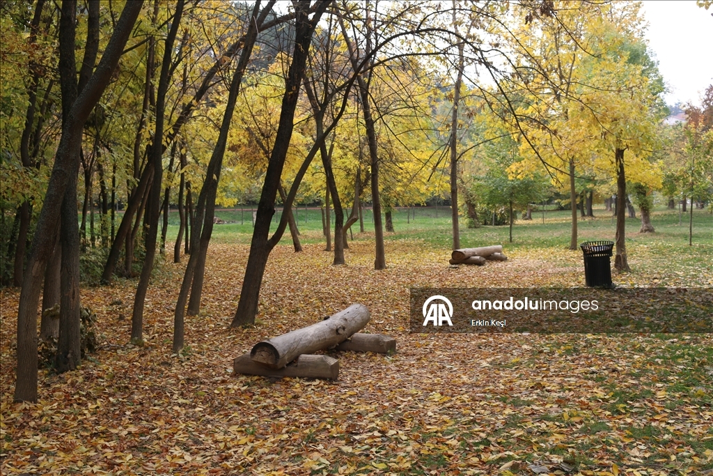 Kosova’da sonbahar