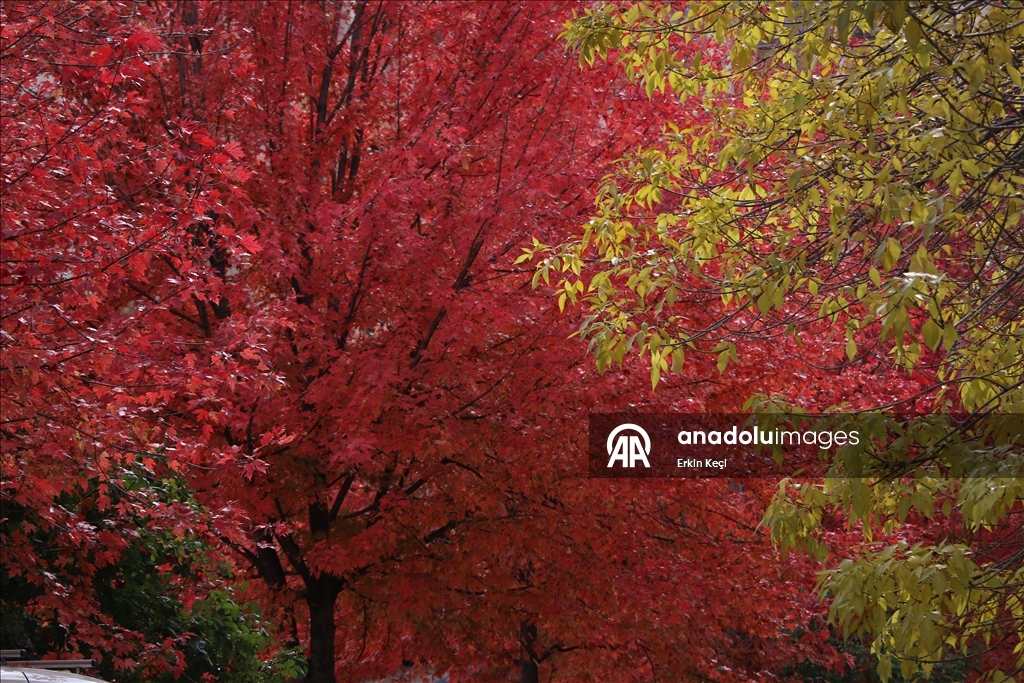 Kosova’da sonbahar