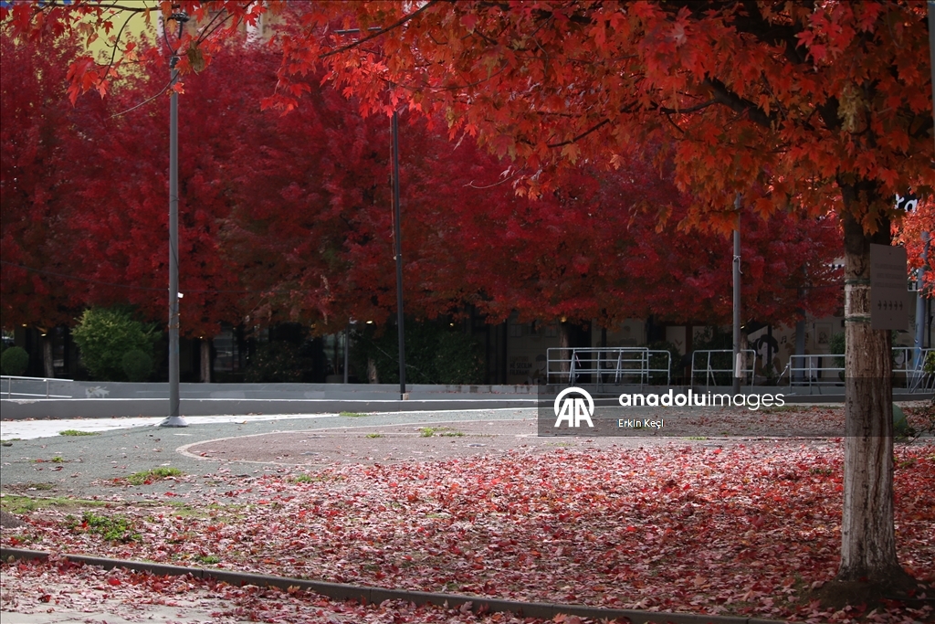 Kosova’da sonbahar