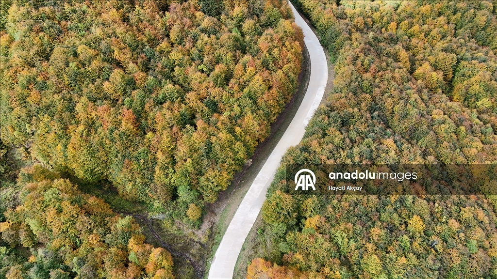 Ordu'da sonbaharın renkleri havadan görüntülendi