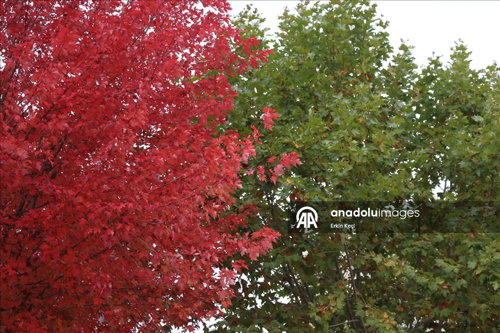 Kosova’da sonbahar