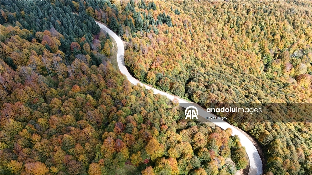 Ordu'da sonbaharın renkleri havadan görüntülendi