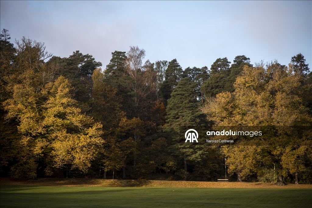 Stockholm draped in vibrant fall colors across parks and lakes