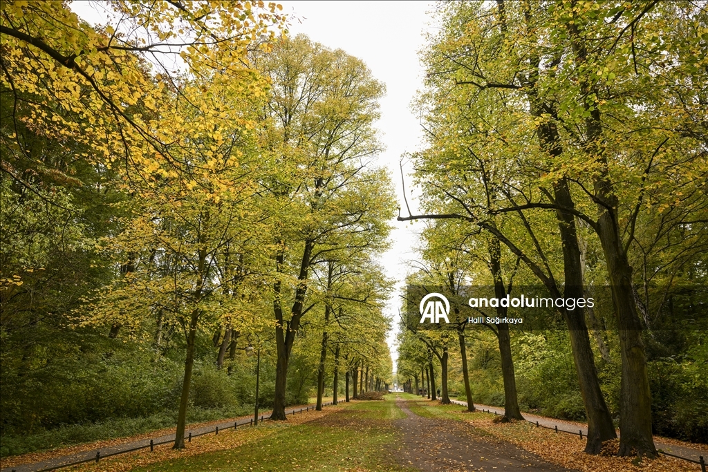 Autumn Colors in Berlin