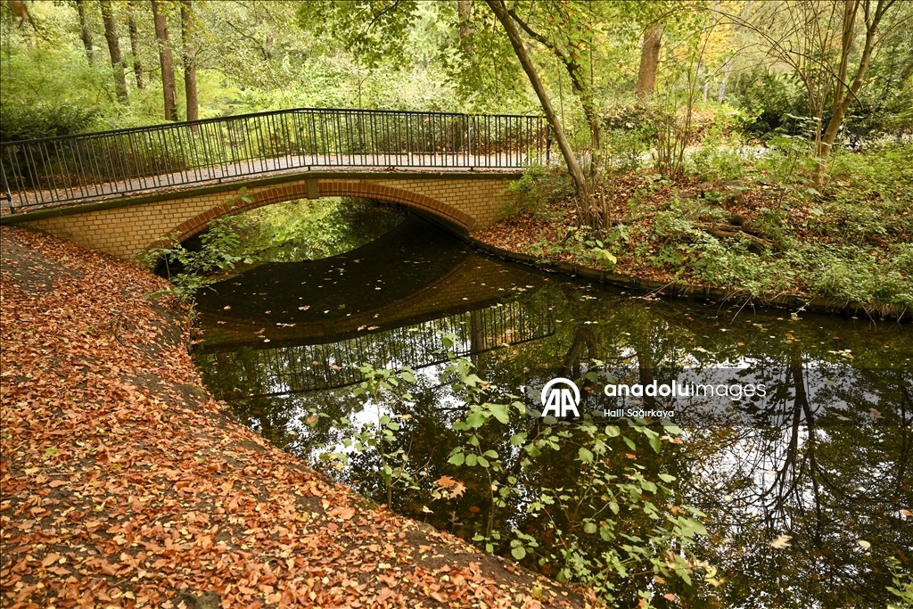 Autumn Colors in Berlin